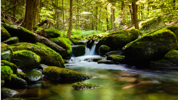 A green landscape with a clear blue sky and a small river flowing through it.