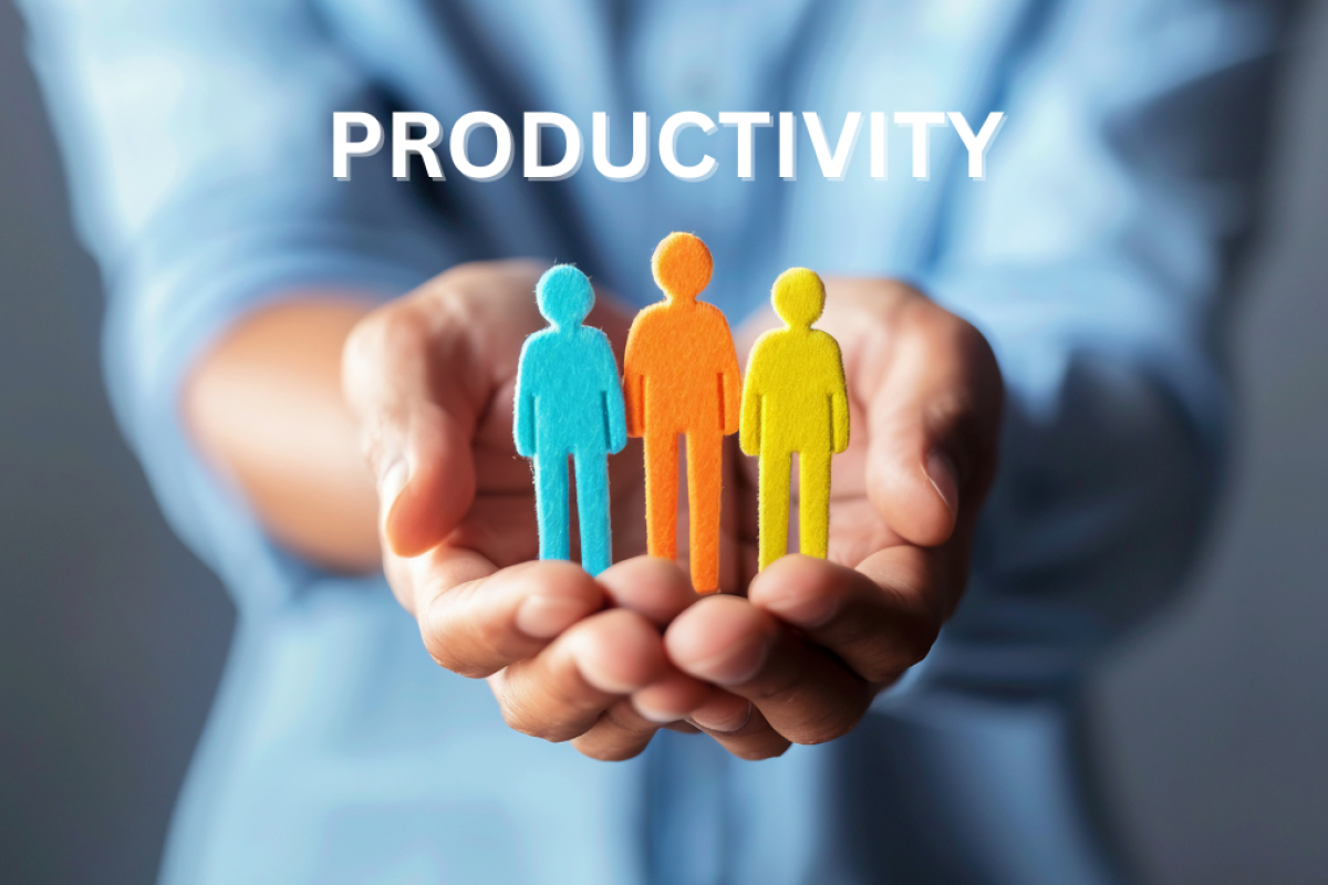 Employee Productivity​